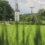 Unveiling the Best Rice Mills: A Guide to Quality Grains