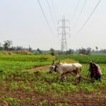 Revolutionizing Agriculture: The Efficiency of Mini Rice Mills