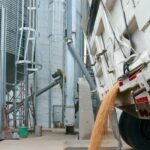 Transforming Grain: The Journey of Parboiled Rice Processing