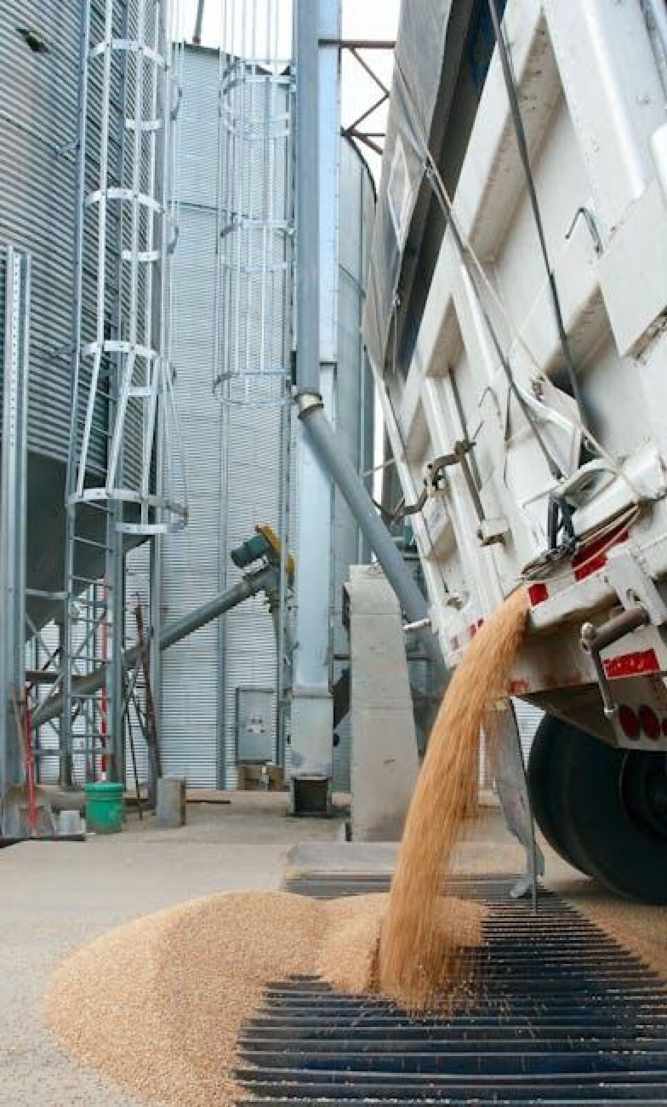 Transforming Grain: The Journey of Parboiled Rice Processing