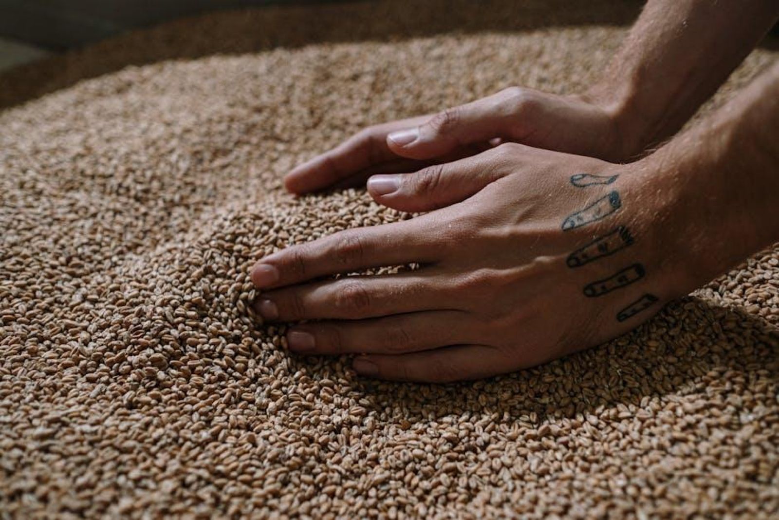Transforming Grain: The Rise of Combined Rice Mills