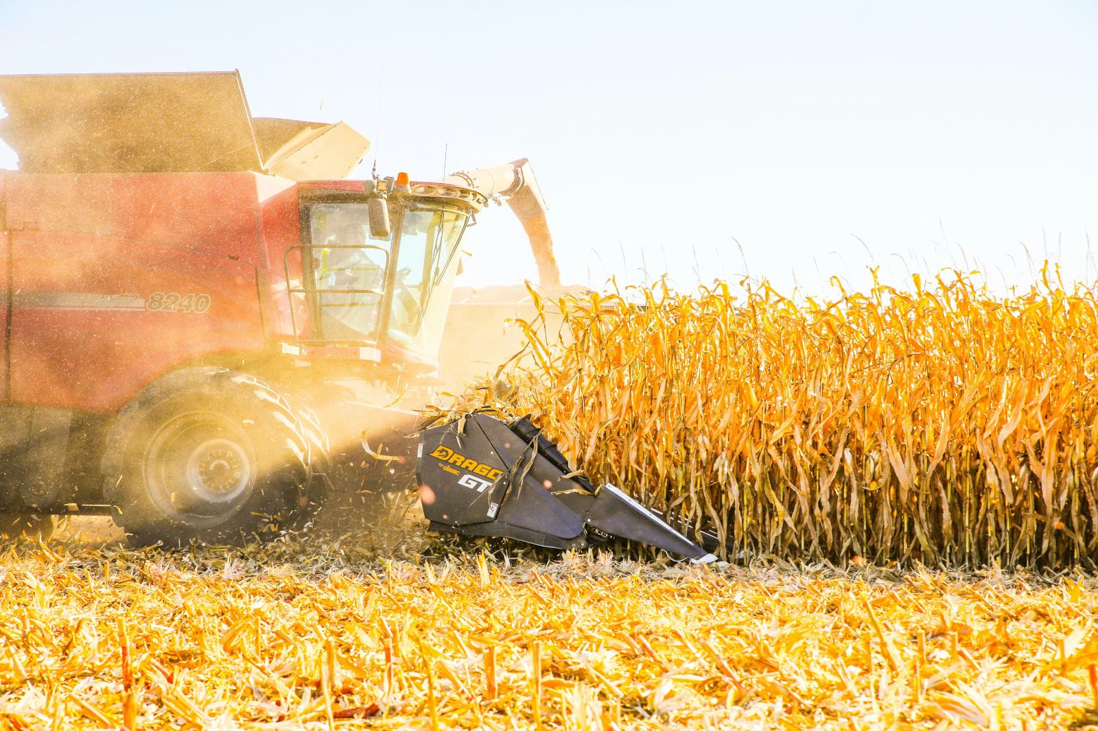 Revolutionizing Harvest: The Role of Rice Machinery Today