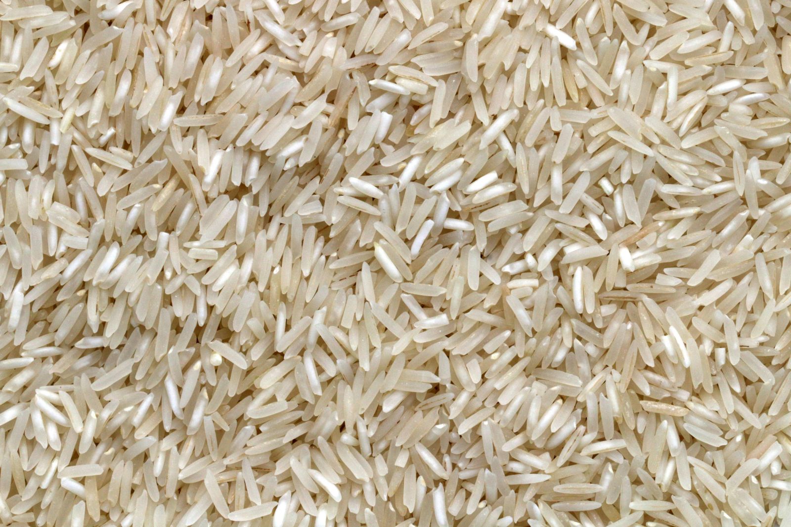 Transforming Grains: The Intricacies of Rice Processing Plants