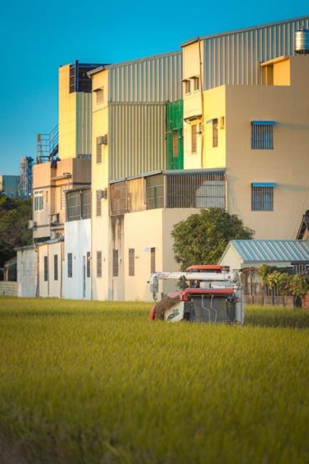 Exploring the Benefits of the Combine Mini Rice Mill: A Complete Guide for Small-Scale Farmers