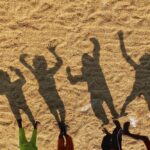 Turning Grain to Gold: The Journey of a Rice Mill