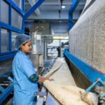 Beyond Tradition: How Modern Rice Processing Machines Are Disrupting Age-Old Practices and Paving the Way for Sustainable Agriculture