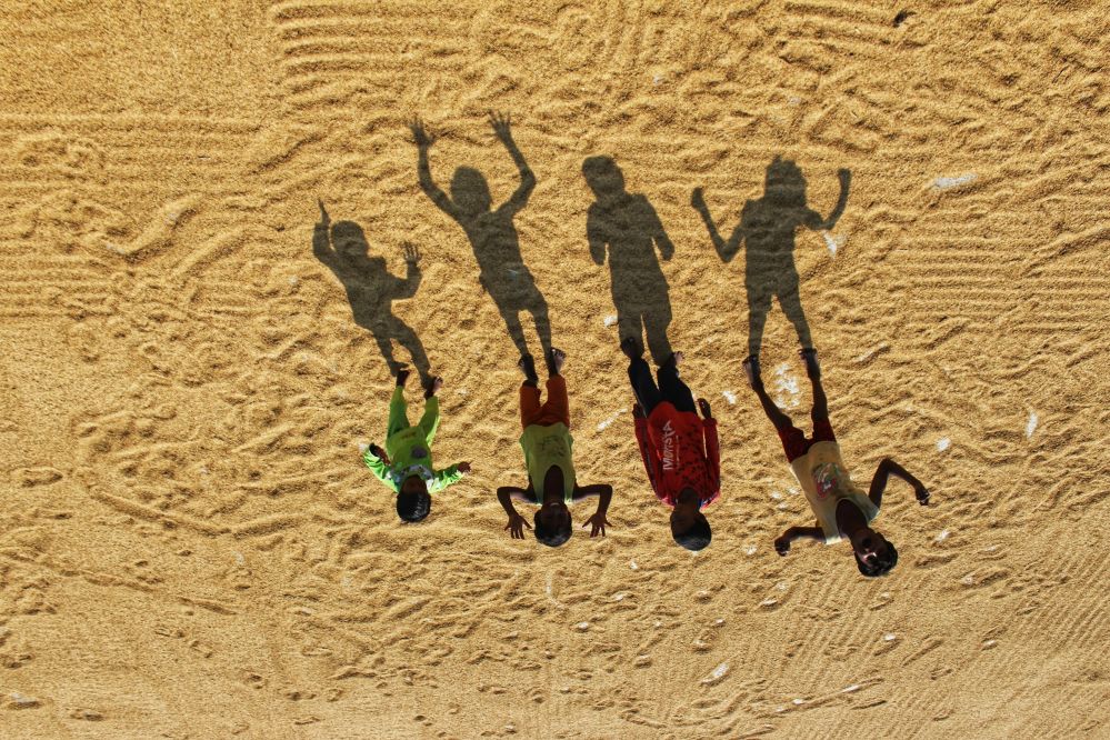 Maximize Your Profits: A Comprehensive Guide to Setting Up Your 4 Ton Rice Mill Plant Efficiently