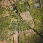 Maximize Your Rice Production: Essential Guide to Choosing the Right Complete Rice Milling Machine for Optimal Efficiency and Quality