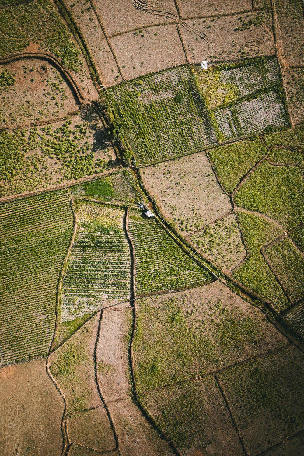 Maximize Your Rice Production: Essential Guide to Choosing the Right Complete Rice Milling Machine for Optimal Efficiency and Quality