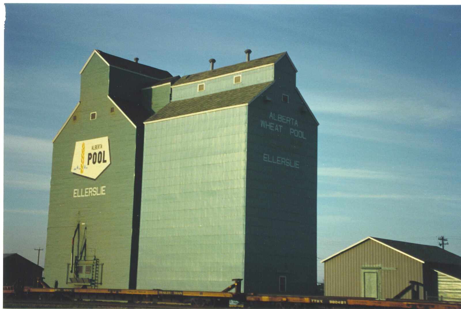 From Grain to Glory: How a Mini Rice Polisher Transformed Our Family's Culinary Journey 2 Navigating the Challenges: The Learning Curve of Home Milling