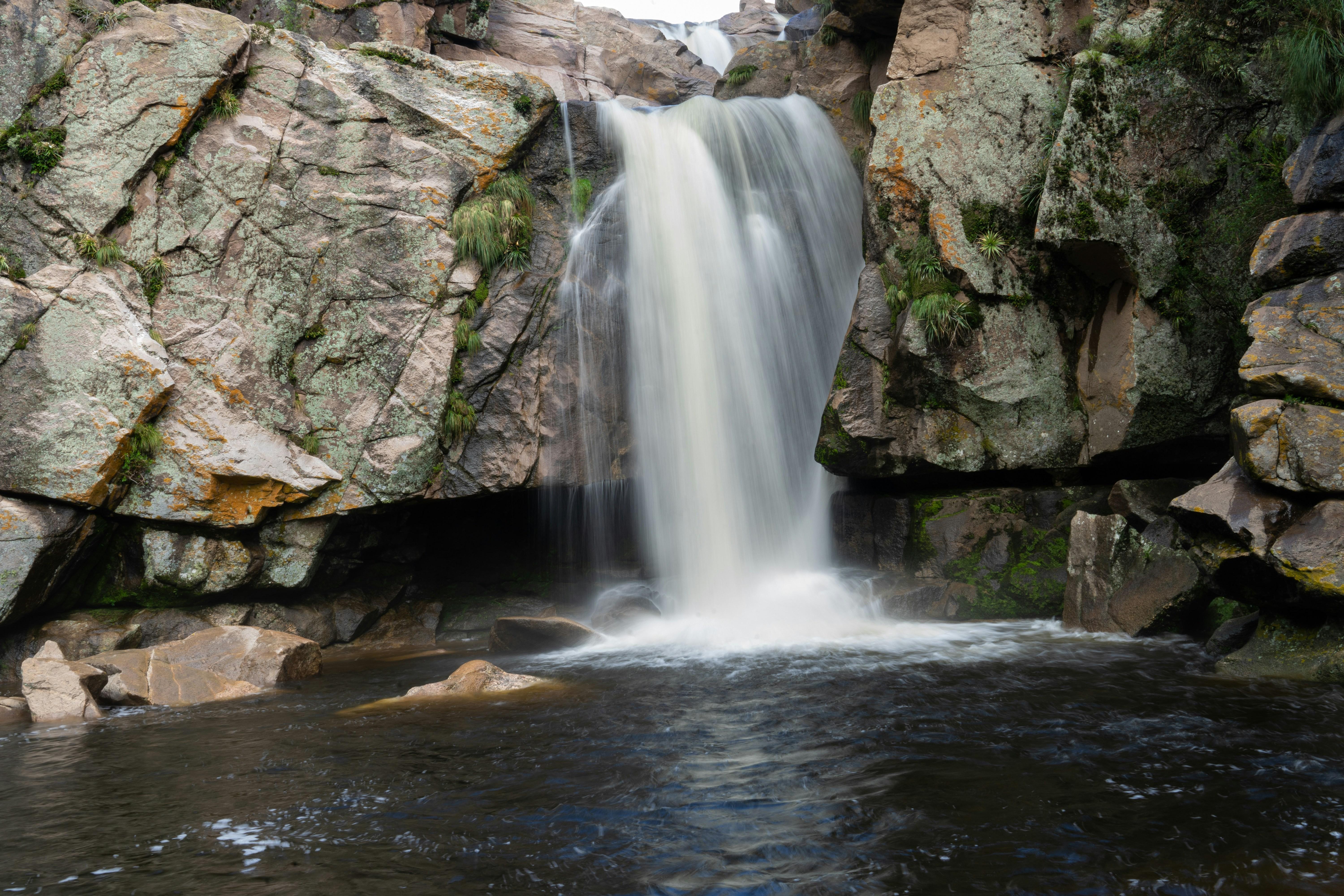 Common Pitfalls to⁣ Avoid: Insights for a Successful Rice Mill Plant Investment