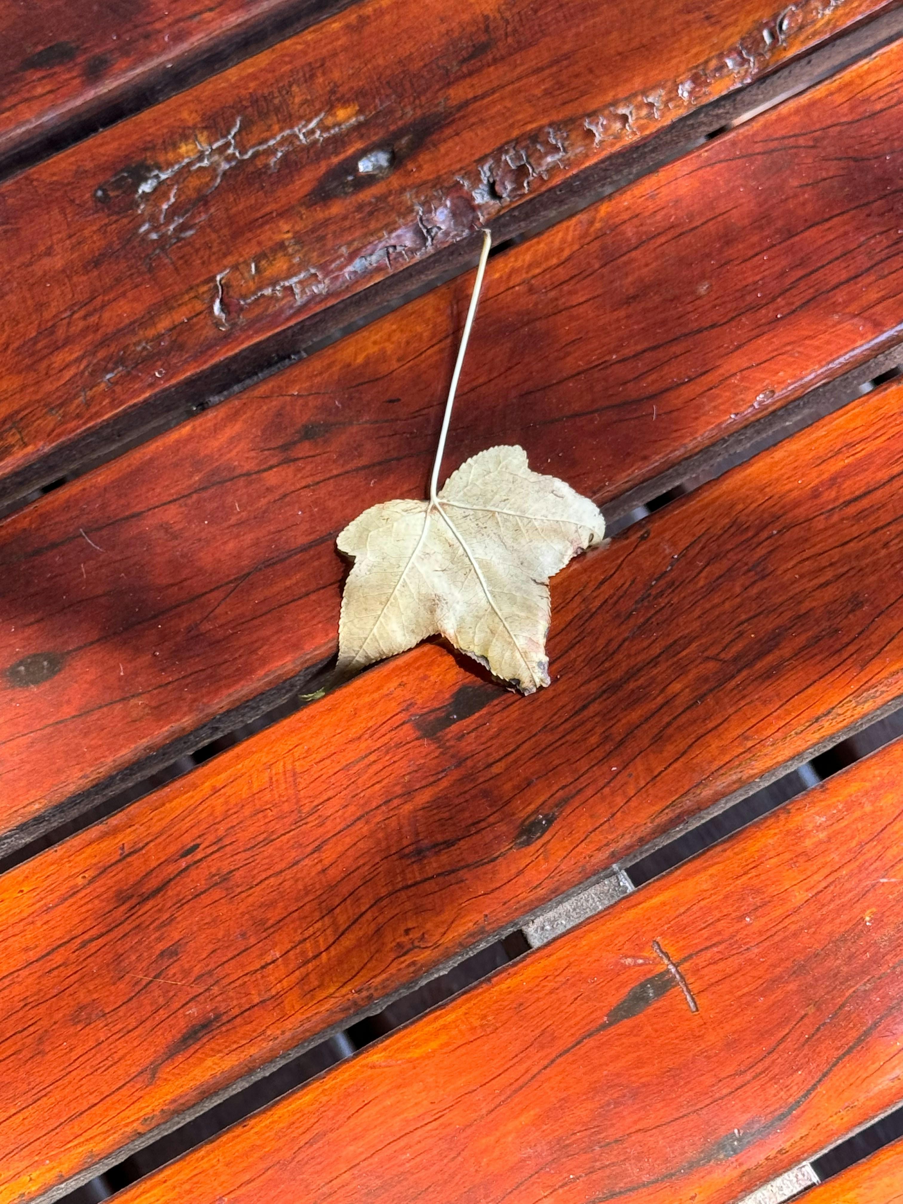 Transforming Texture: The Science Behind Jet Rice Polishers