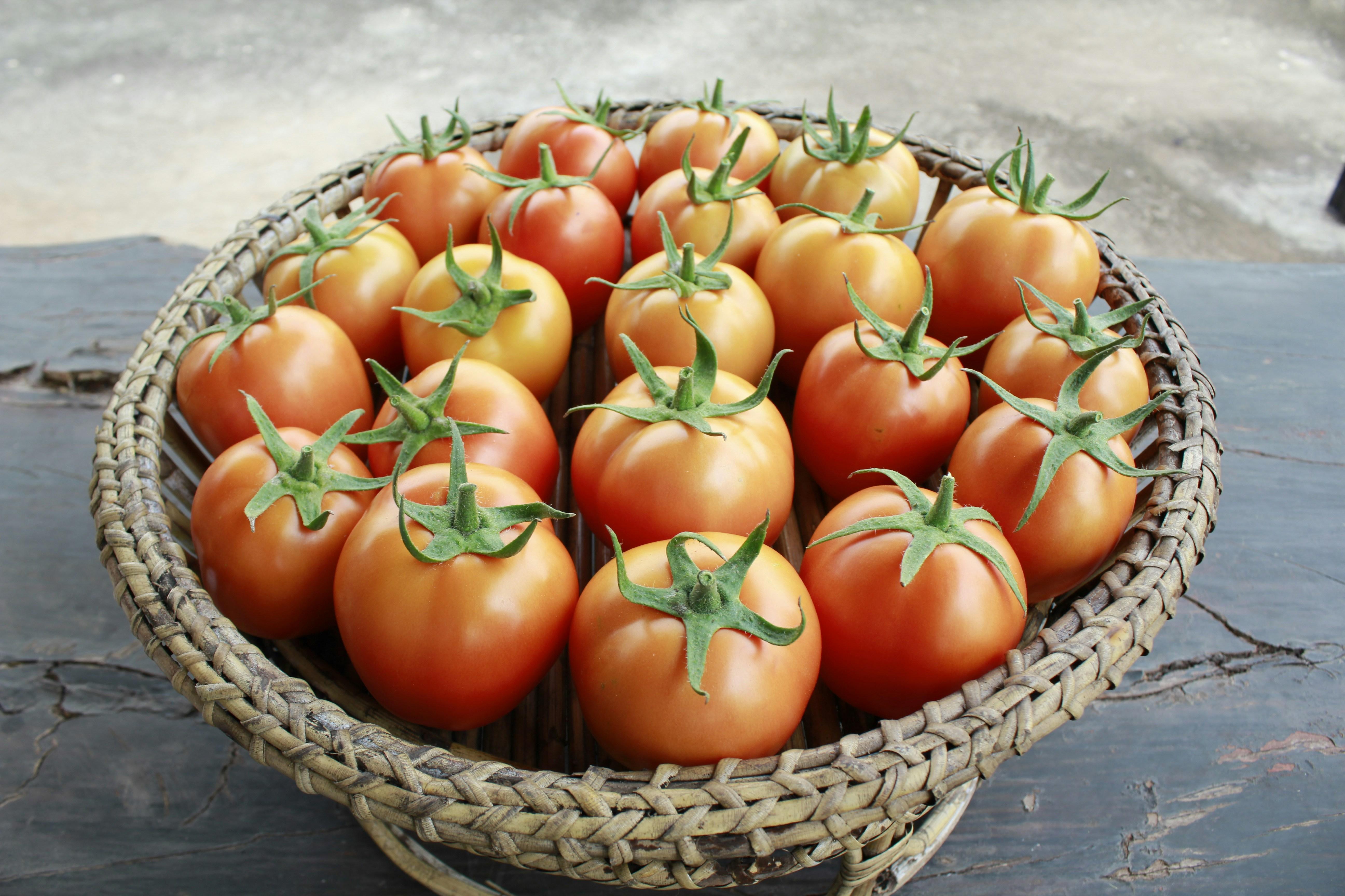 Building Sustainable‌ Practices: Eco-Kind Innovations in Cereal Milling