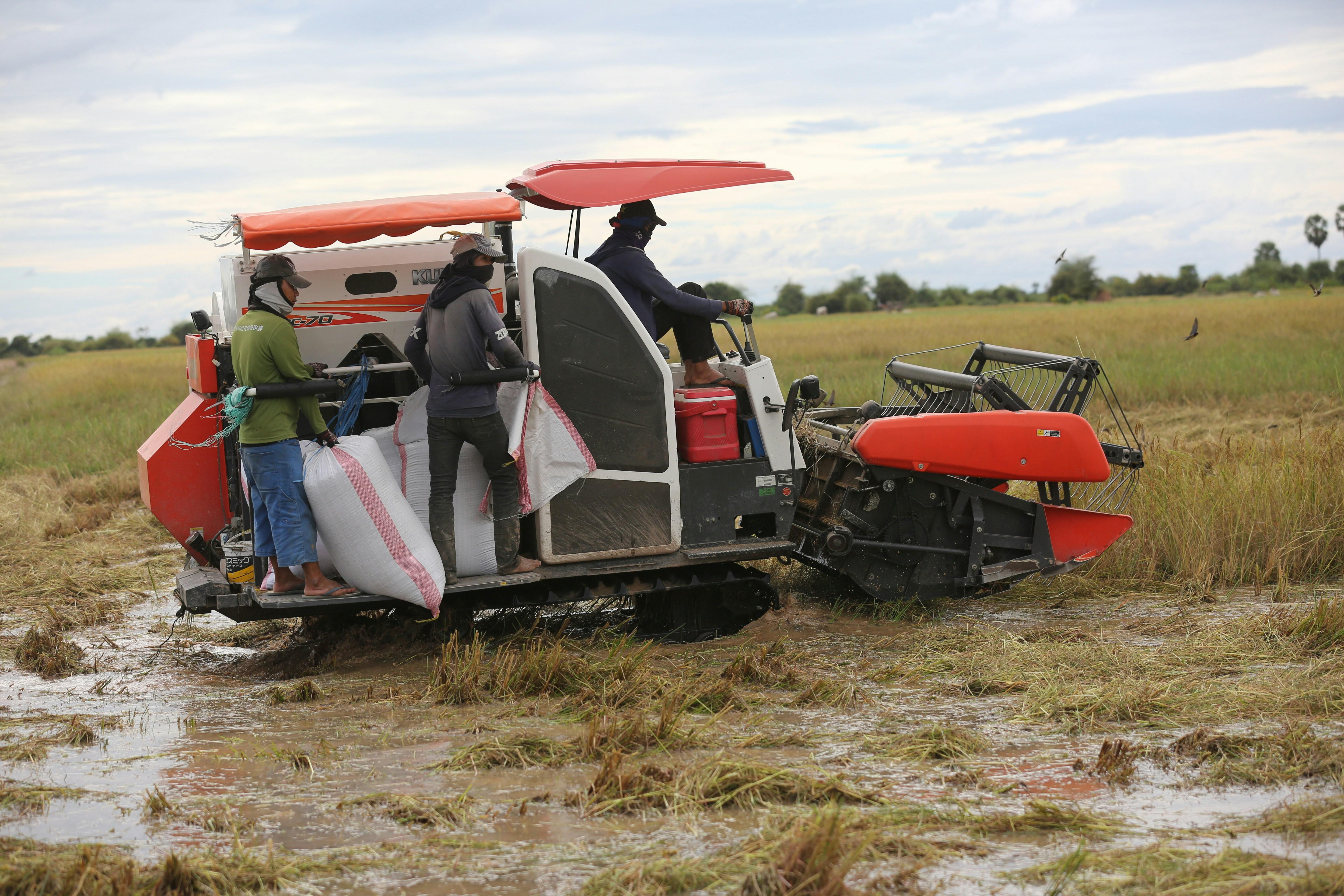 Understanding Combine Mini Rice Mills and Their Role in Contemporary⁢ Agriculture