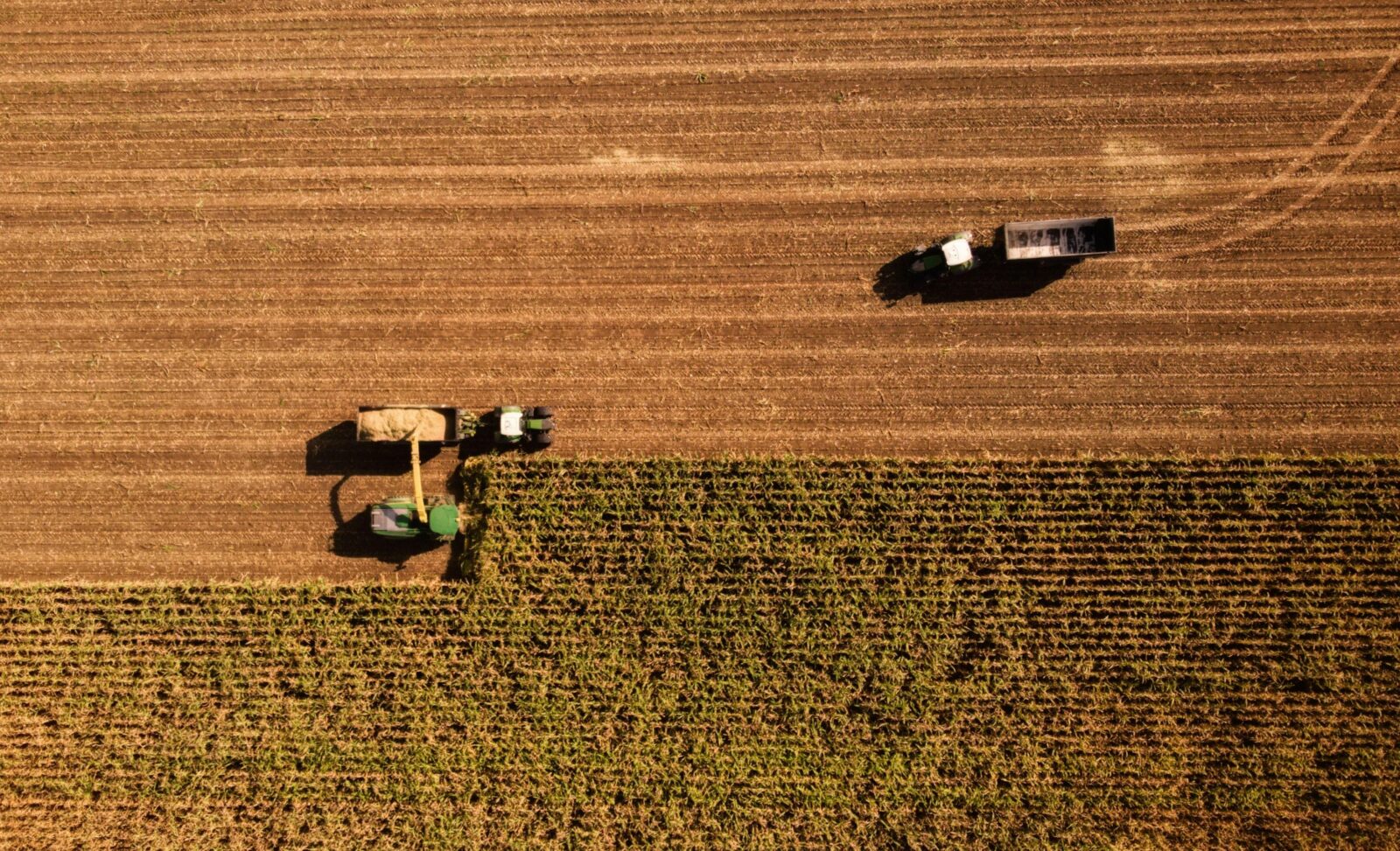 From Field to Future: The Untold Journey of Rice Machinery and the Lives It Transforms 1 Harvesting Hope: Revealing Stories Behind Innovative Rice Machinery