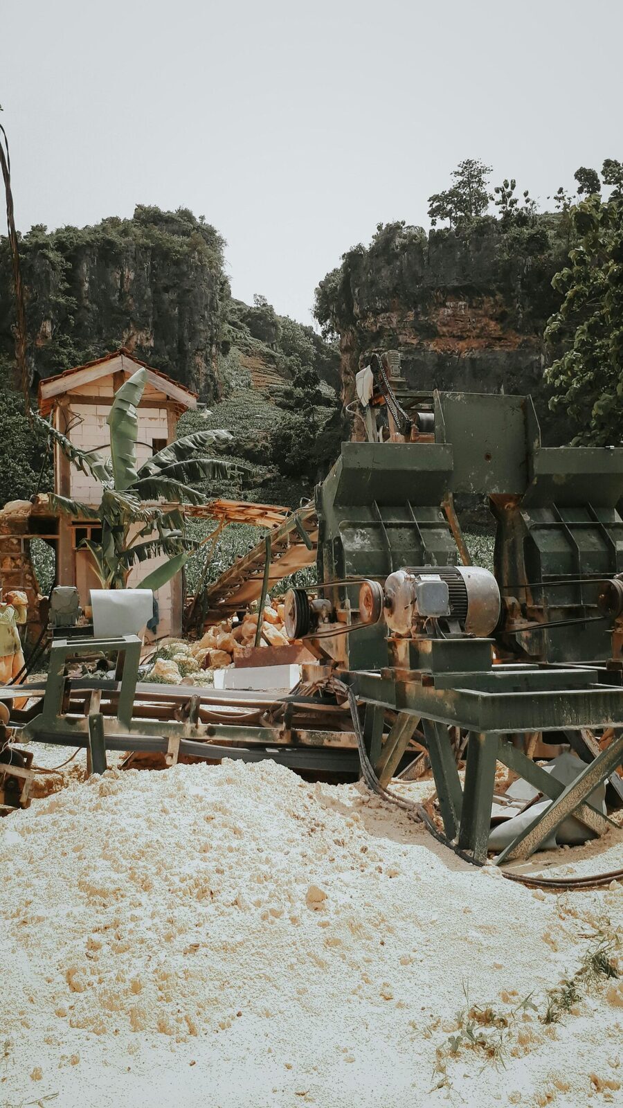 Mastering the Grain: The Art and Science of Cereal Milling 2 The Milling Process: Techniques for Optimal Extraction