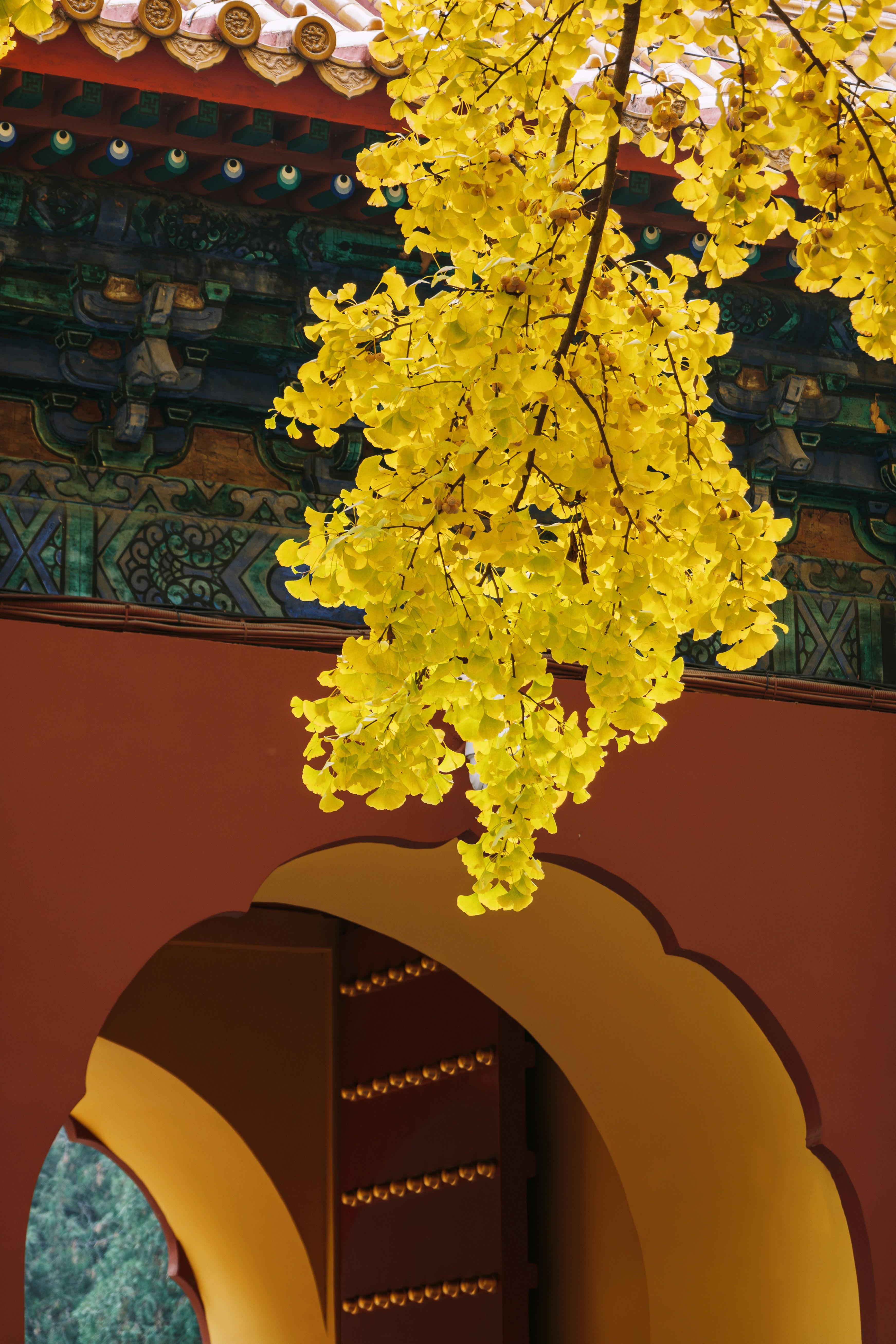 Cultural Shifts Through Grain: How Global Rice Processing is Redefining Food Heritage