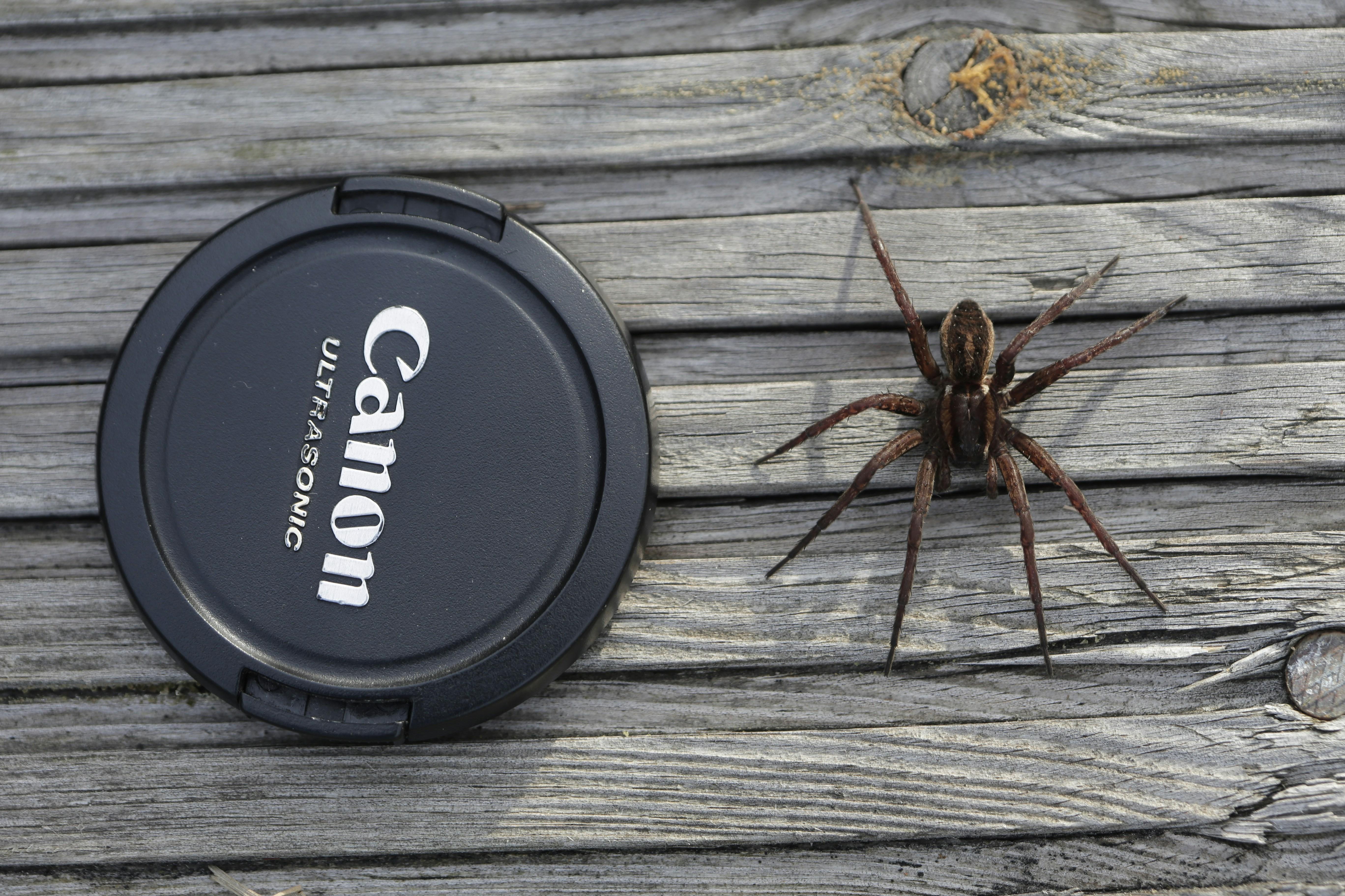 Evaluating Performance Metrics: A Comparative Study of Corn Processing Techniques