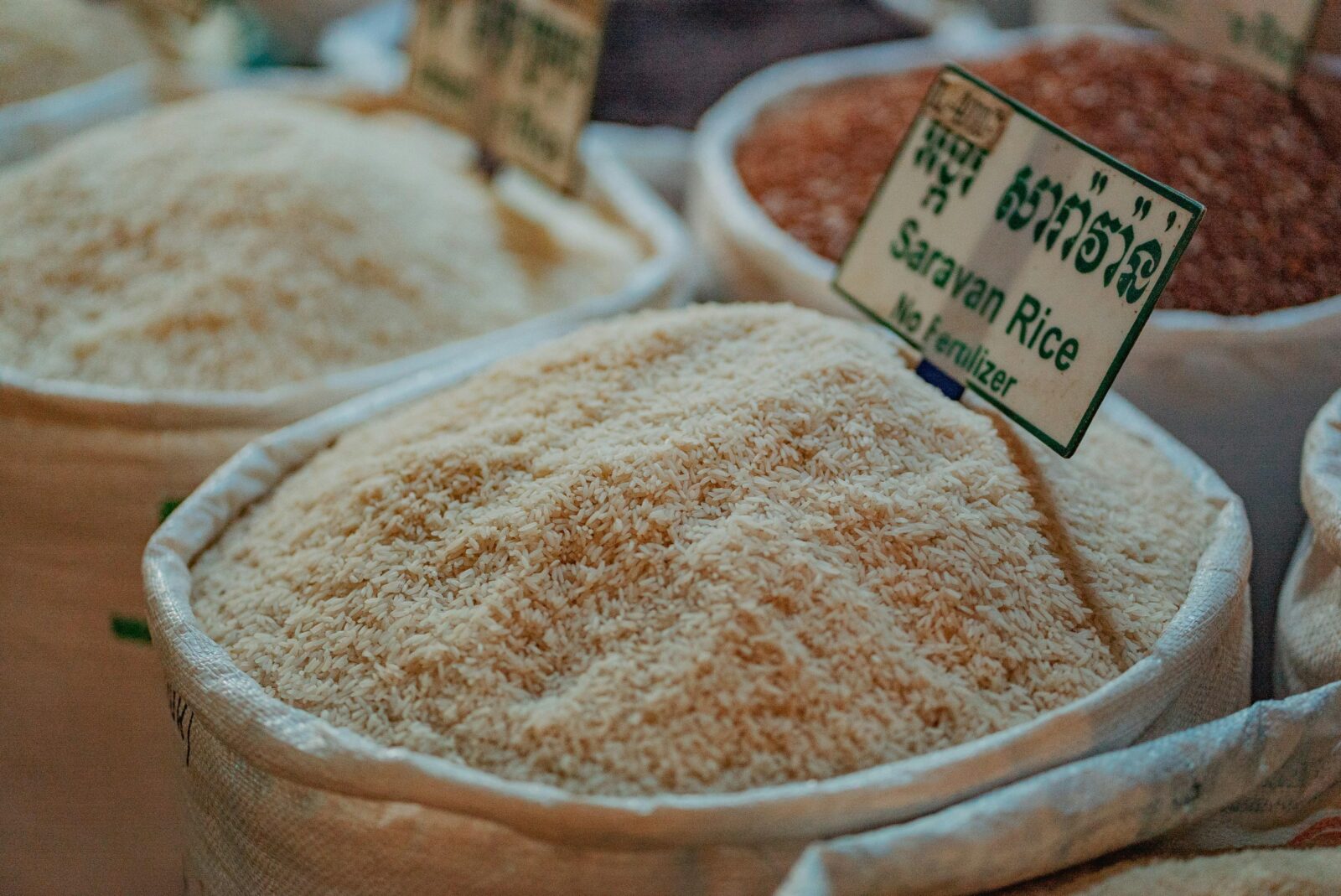 Understanding Different Types of ⁢Rice Polishers