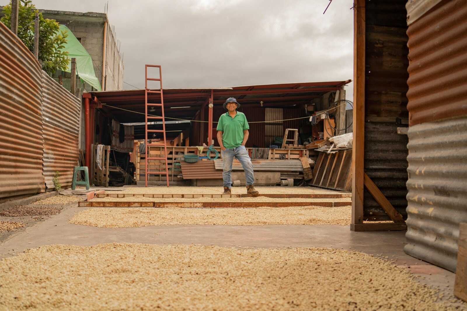 Unpacking the Process: The Art of Maize Milling Explained 4 Sustainable Milling: Incorporating Eco-Friendly Practices in Production