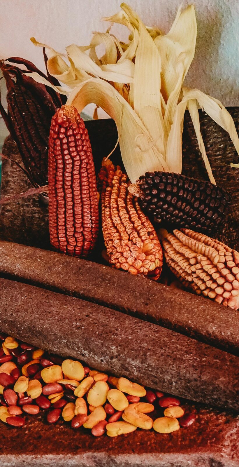 The Journey from Kernel to Flour: ‌Understanding Maize Milling Fundamentals