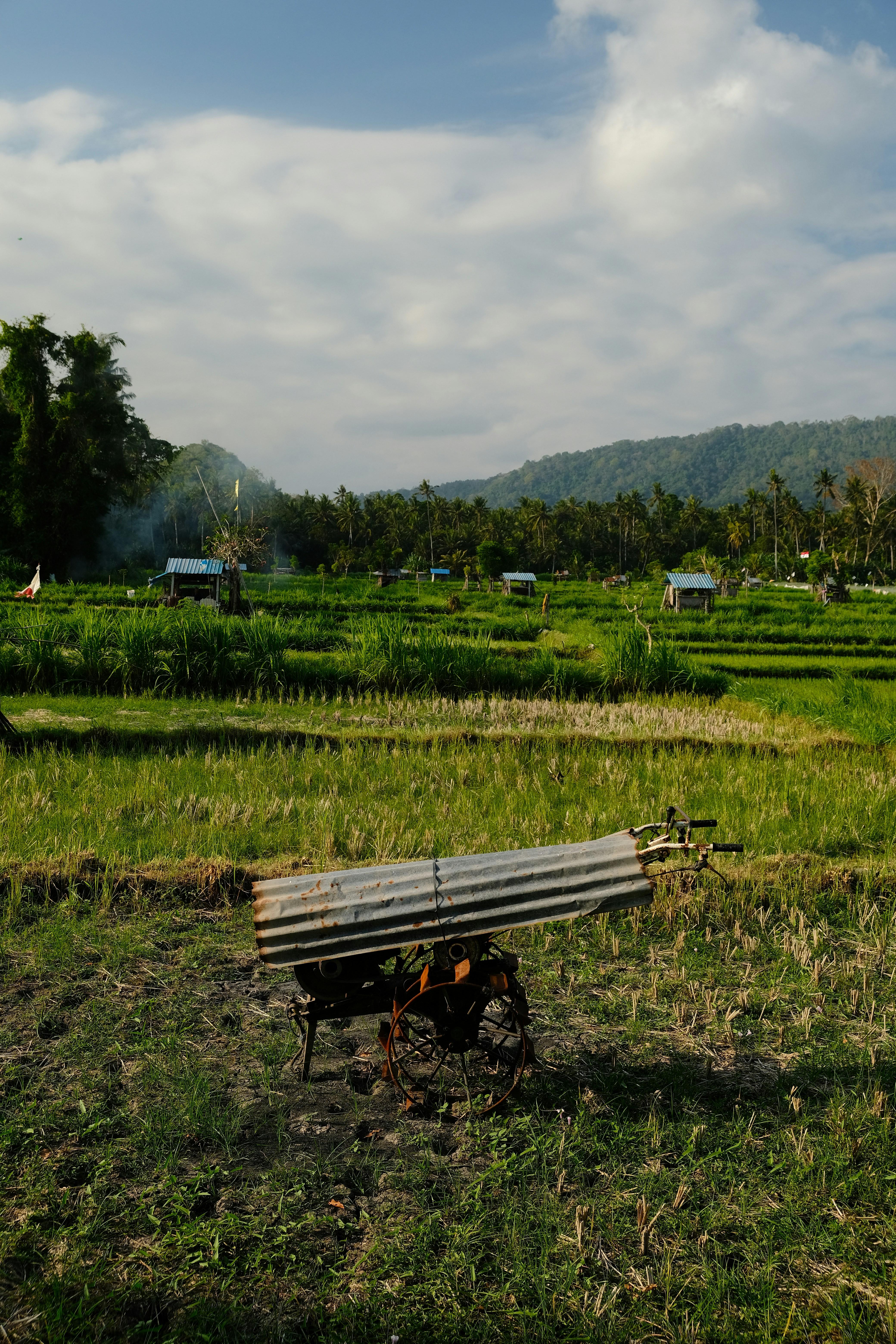 Advancements in Rice Machinery and‍ Their Impact on Yields