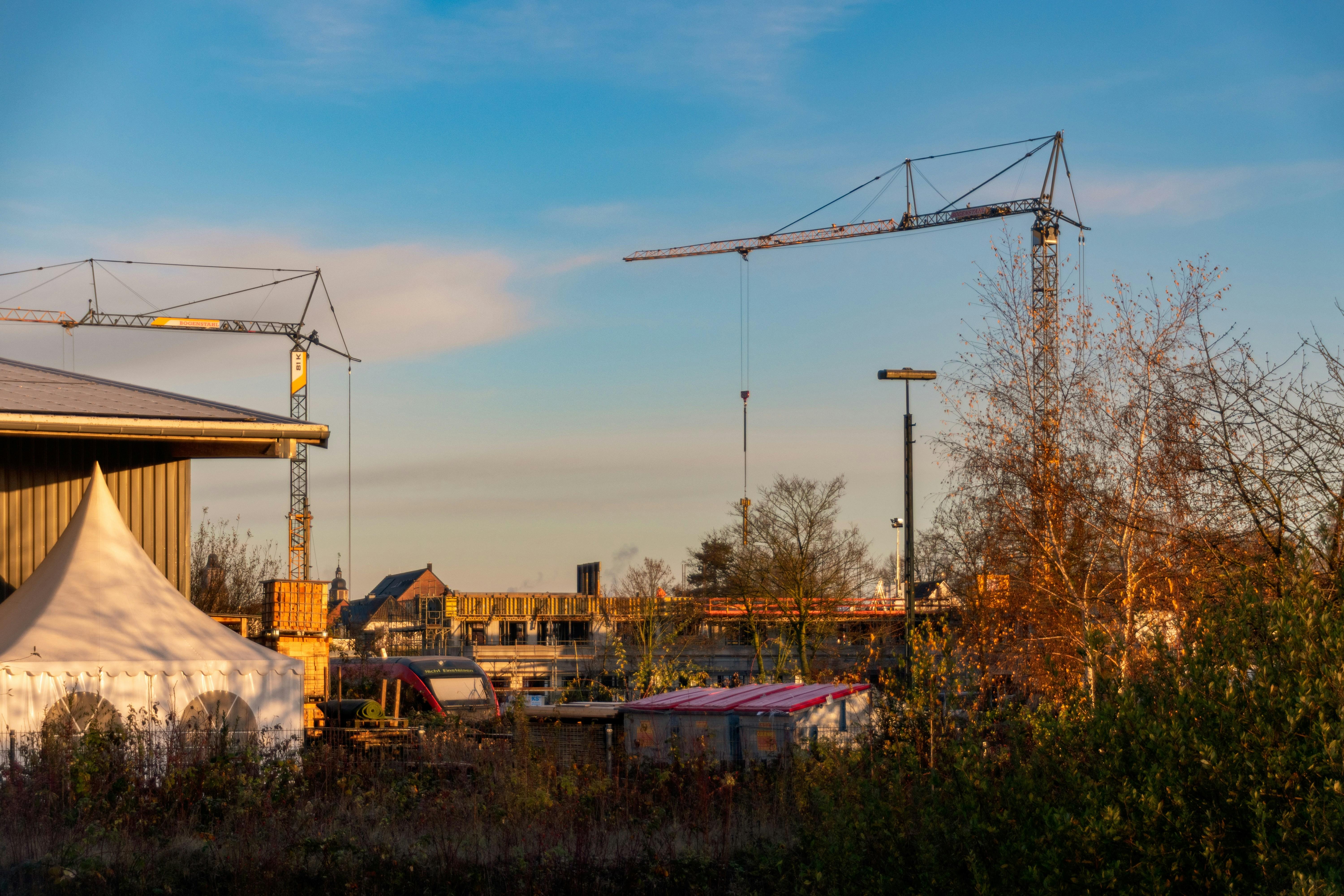 Unveiling the Role of Material properties in Enhancing Cereal Quality