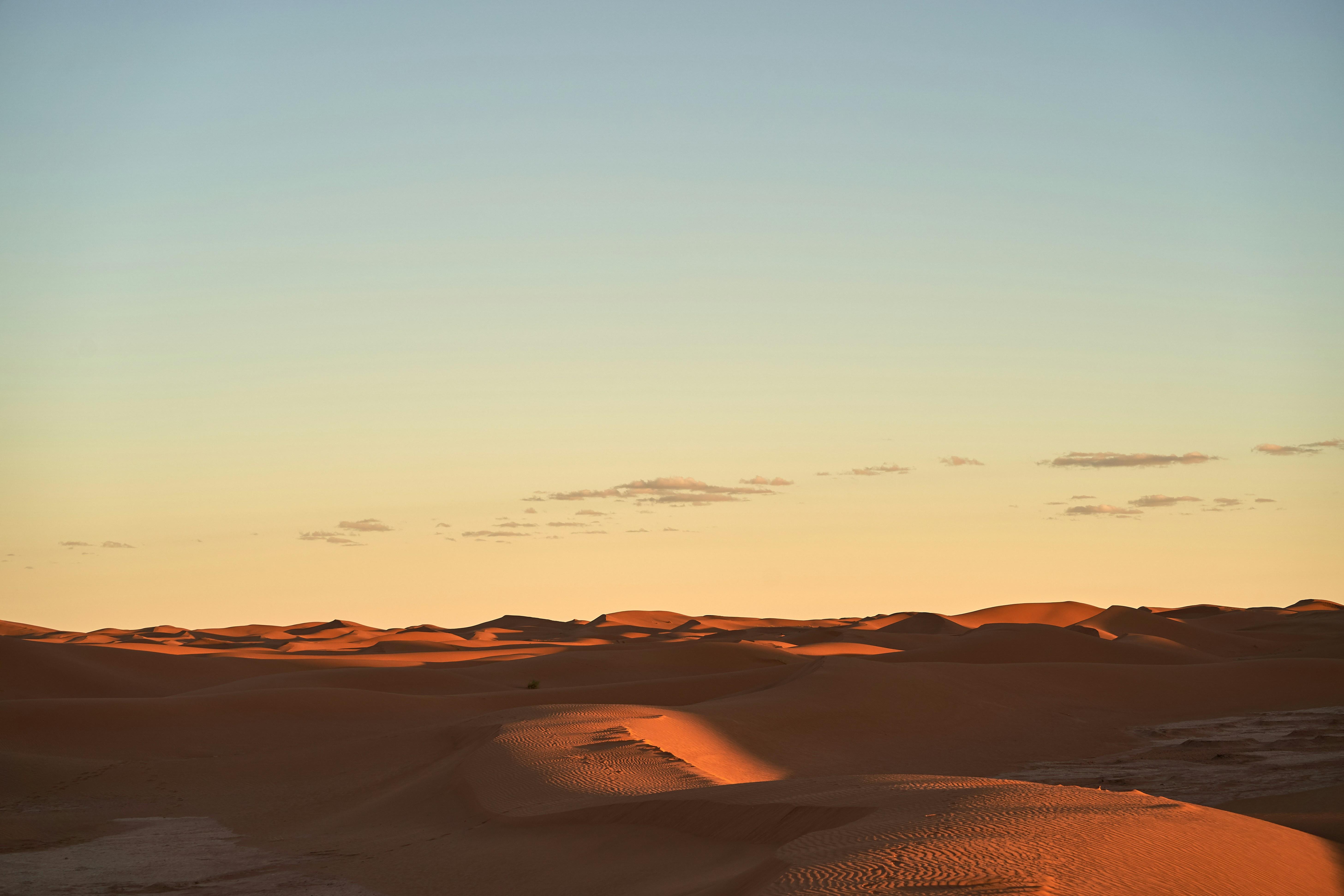 Shifting Sands: Adapting Age-Old Practices to Modern Innovations in Agriculture