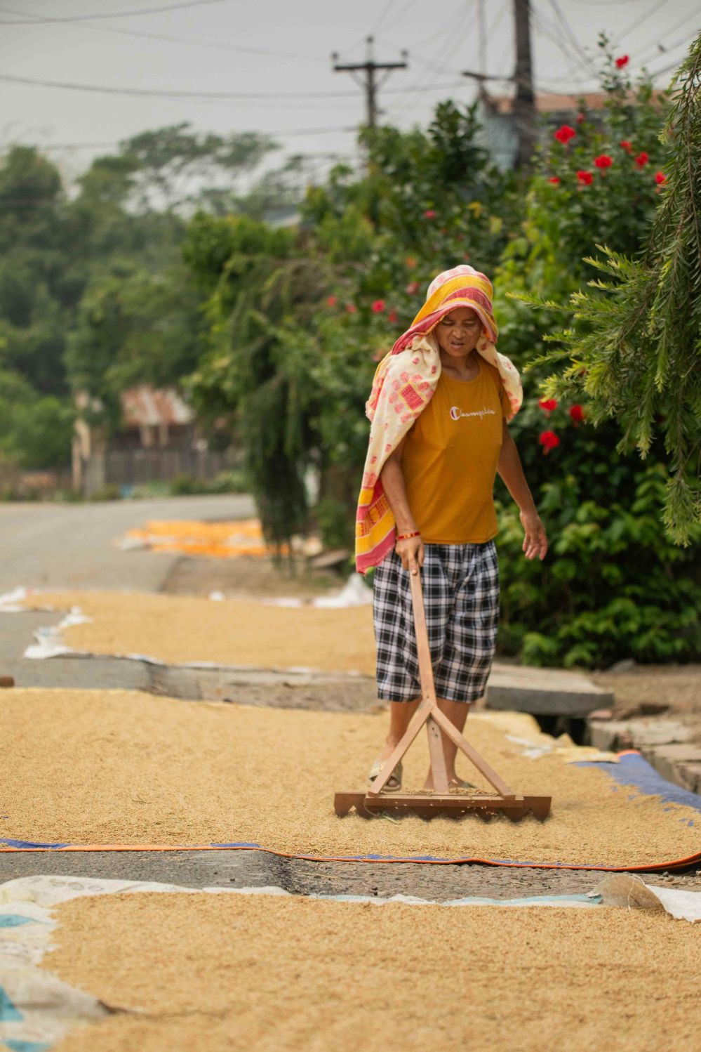 Advancements in Paddy Processing: Comparative Analysis of Precision Techniques, Efficiency Metrics, and Technological Innovations
