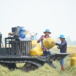 From Seed to Harvest: The Unseen Heroes of Rice Farming and the Machinery That Transforms Lives