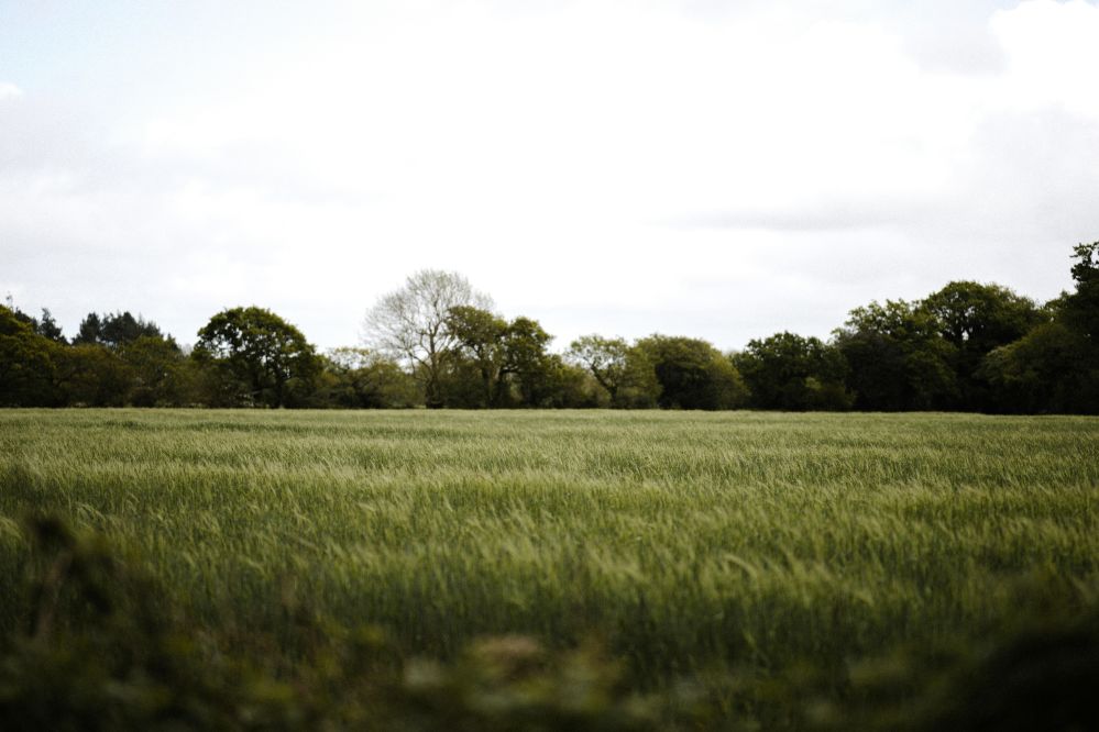 From Field to Future: The Journey of Rice Machinery in Transforming Agriculture and Lives