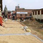 Optimizing Efficiency and Yield: A Technical Overview of Paddy Processing Unit Specifications, Performance Metrics, and Comparative Analysis