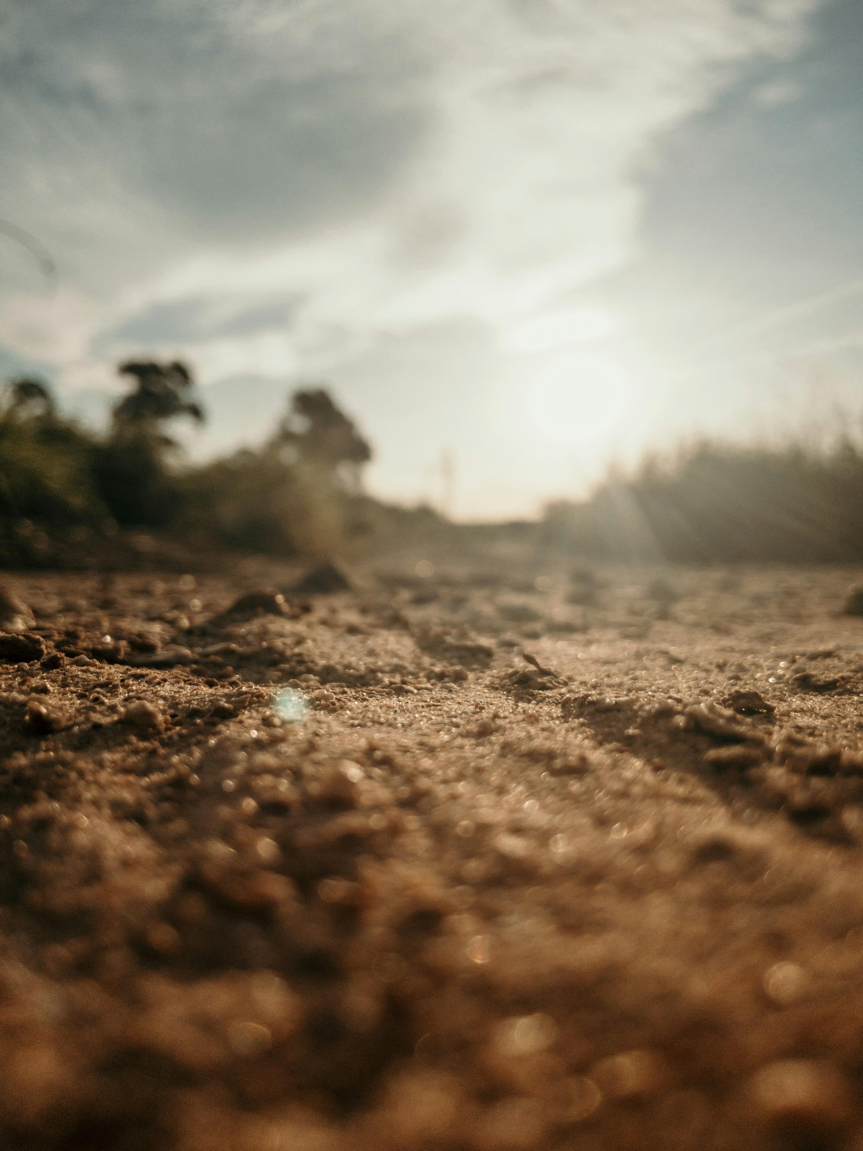 Tending to the Soil: The Lifelong⁢ Commitment of small-Scale Rice Farmers