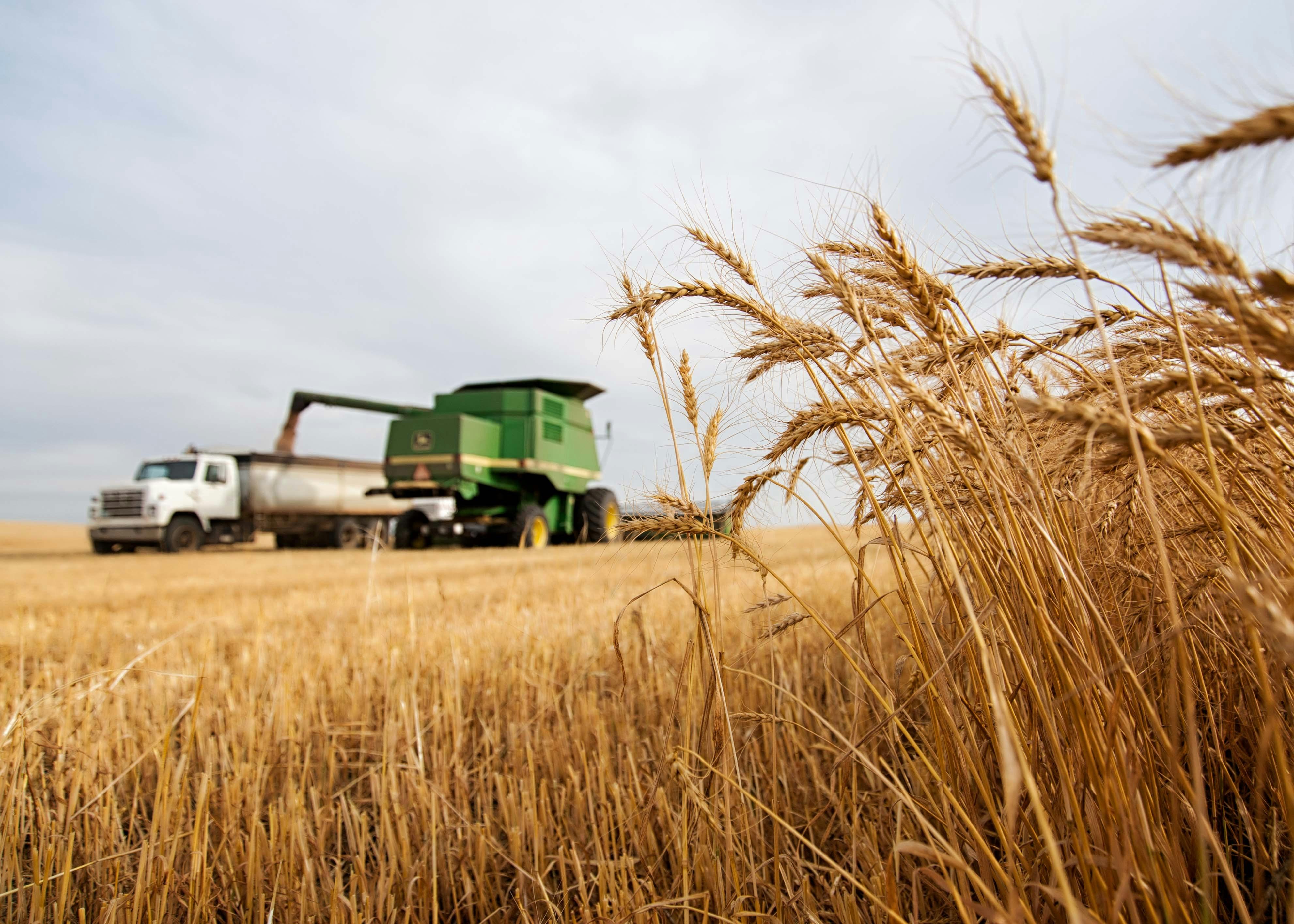 Understanding the Combine mini ‌Rice Mill⁣ and It's⁢ Role in Modern Agriculture