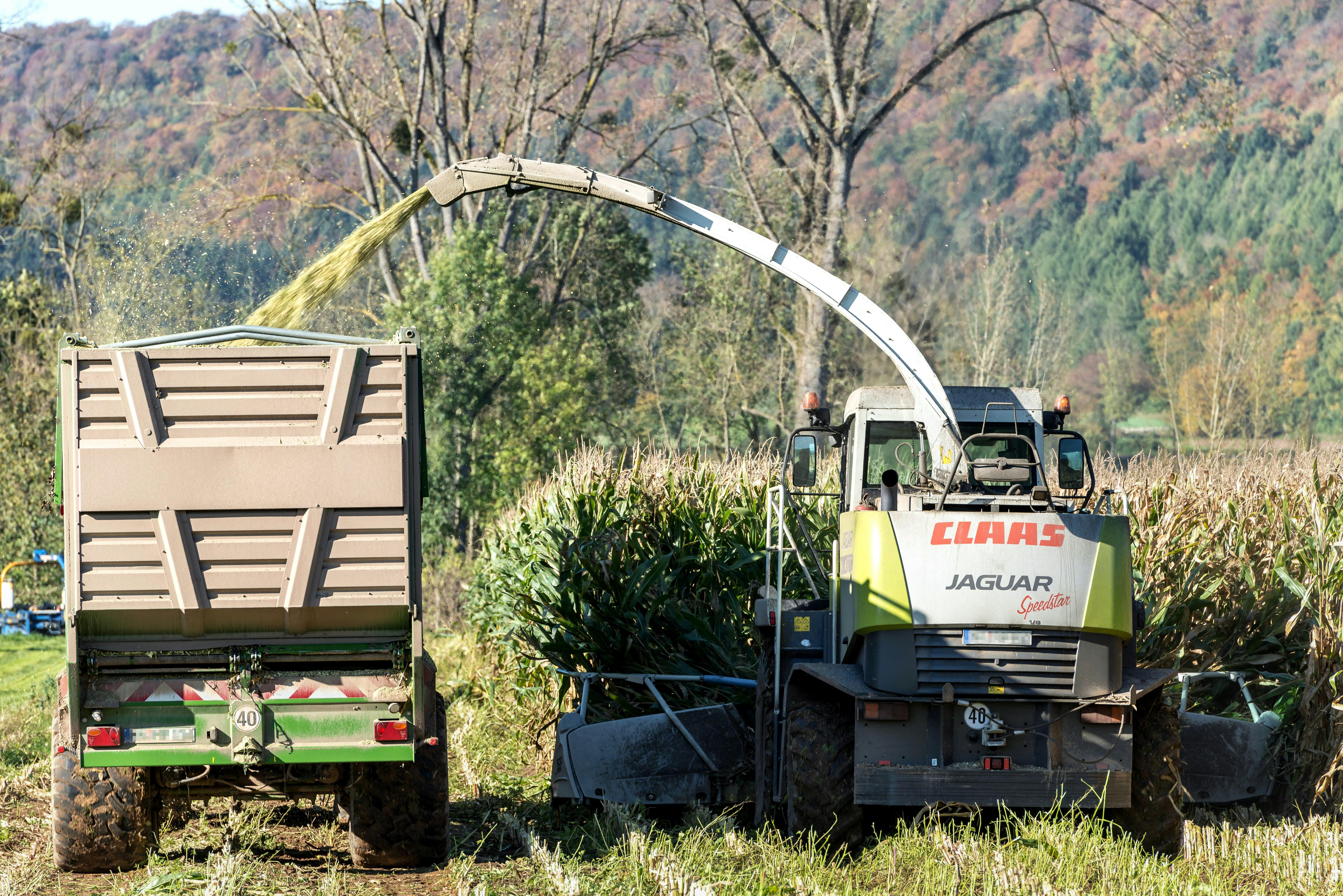 Identifying Critical Limitations and Comparative Advantages in Corn Processing Technologies
