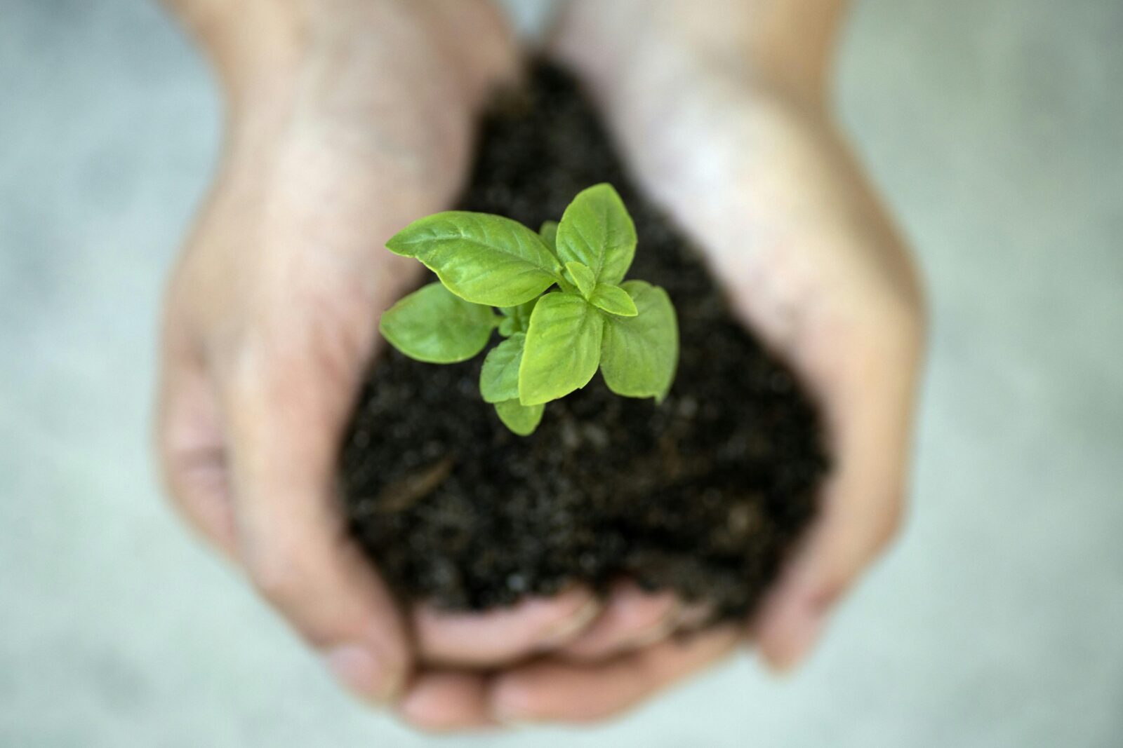 Navigating the Hidden ​Costs of Sustainable Rice Processing Innovations