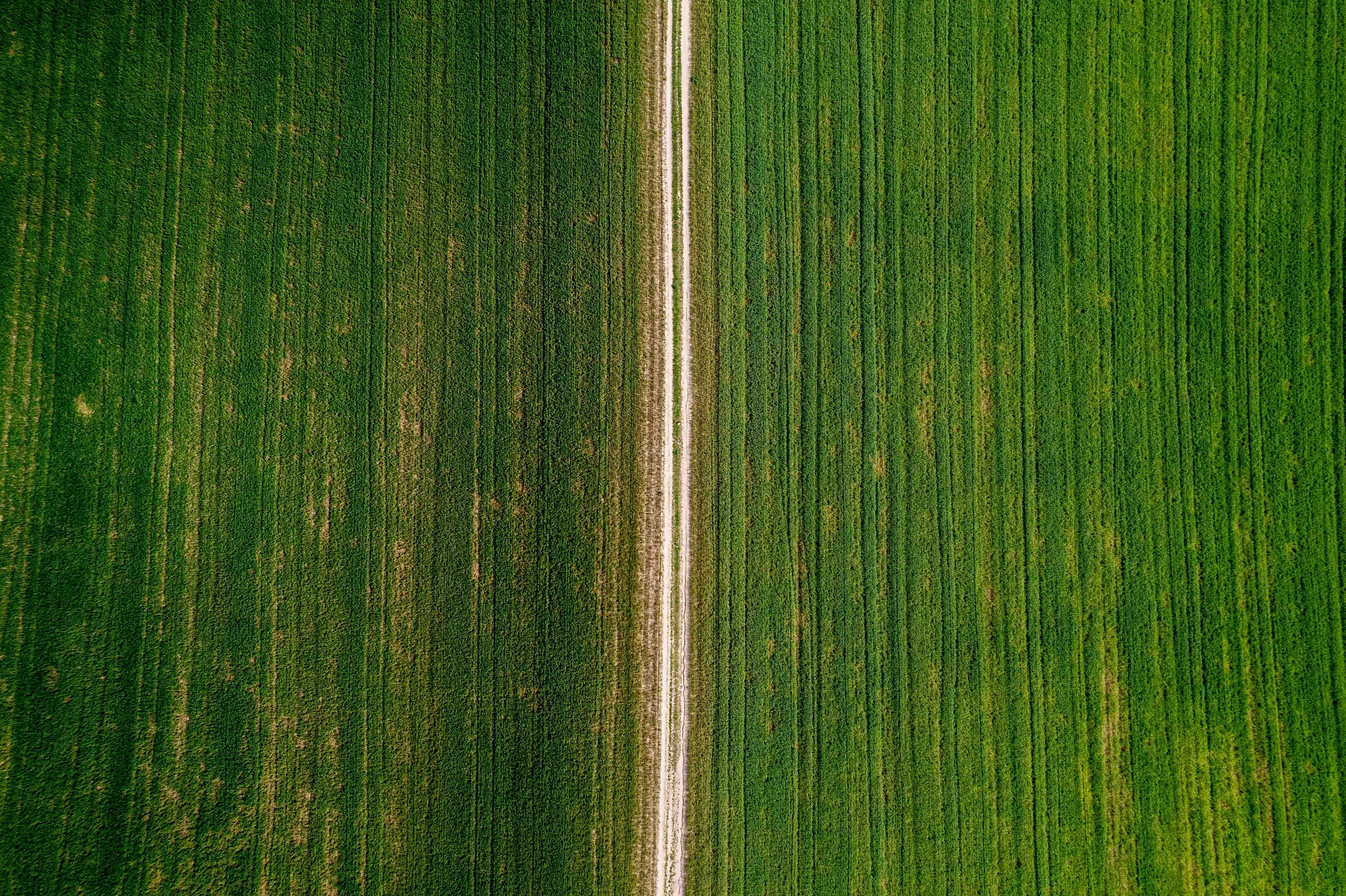 Boost Your Yield: Essential Tips for Selecting the Right Rice Milling Machine to Maximize Efficiency and Minimize Waste