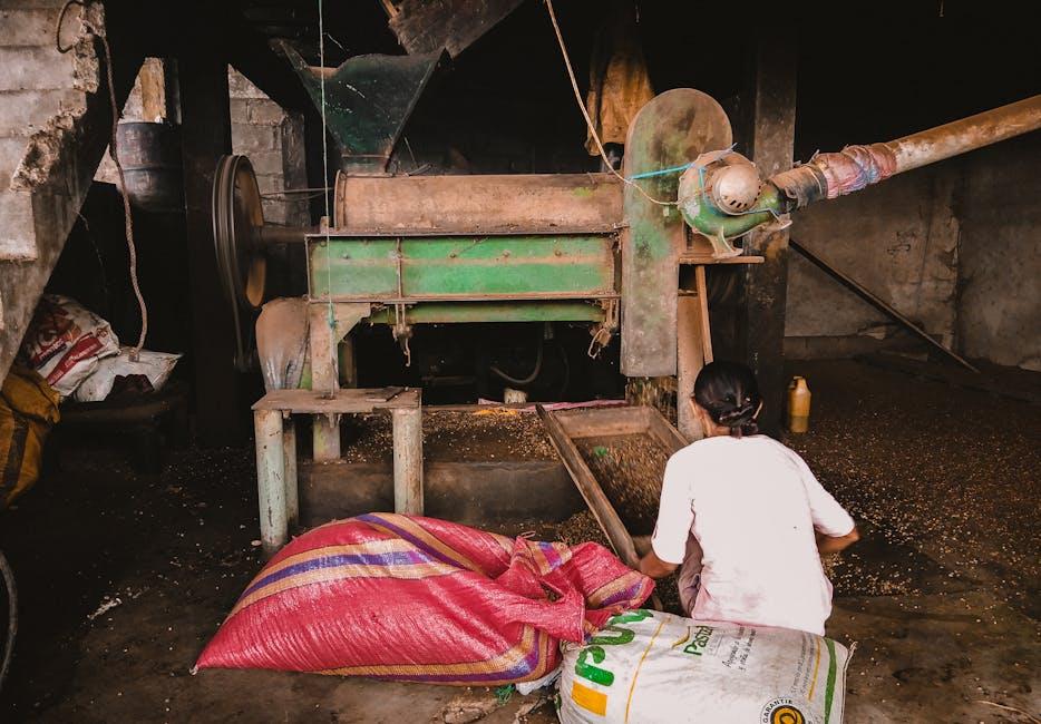 Maximize Efficiency and Profitability: Key Strategies for Choosing and Operating Your Rice Mill Plant 1 Navigating the Selection Maze: Essential Criteria for Your Ideal Rice Mill Plant