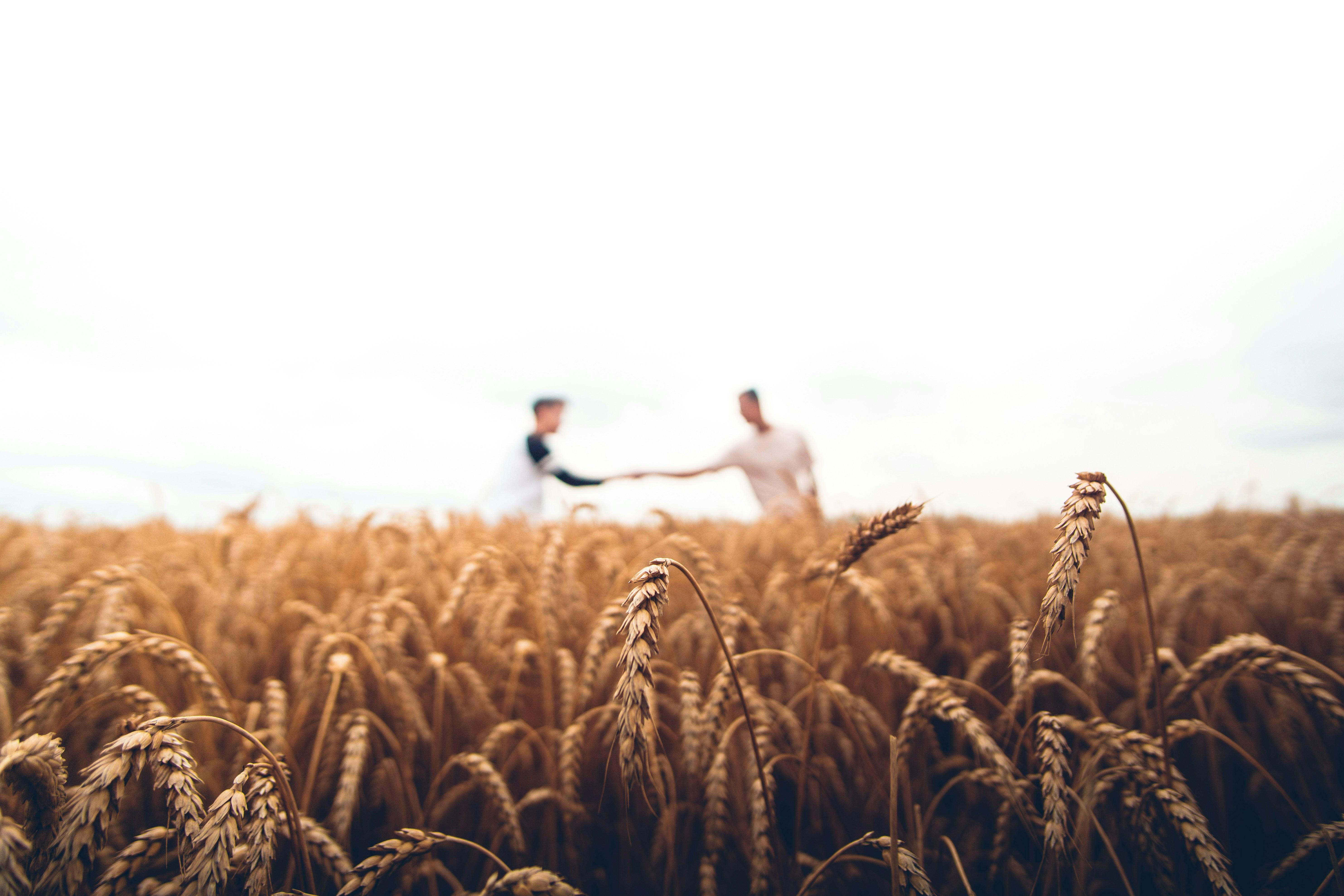 From Grain to Shine: The Journey of the Jet Rice Polisher and Its Impact on Farmers' Lives 2 Overcoming Hurdles: The Farmers' Struggle with Traditional Milling Methods and the Path to Modernization