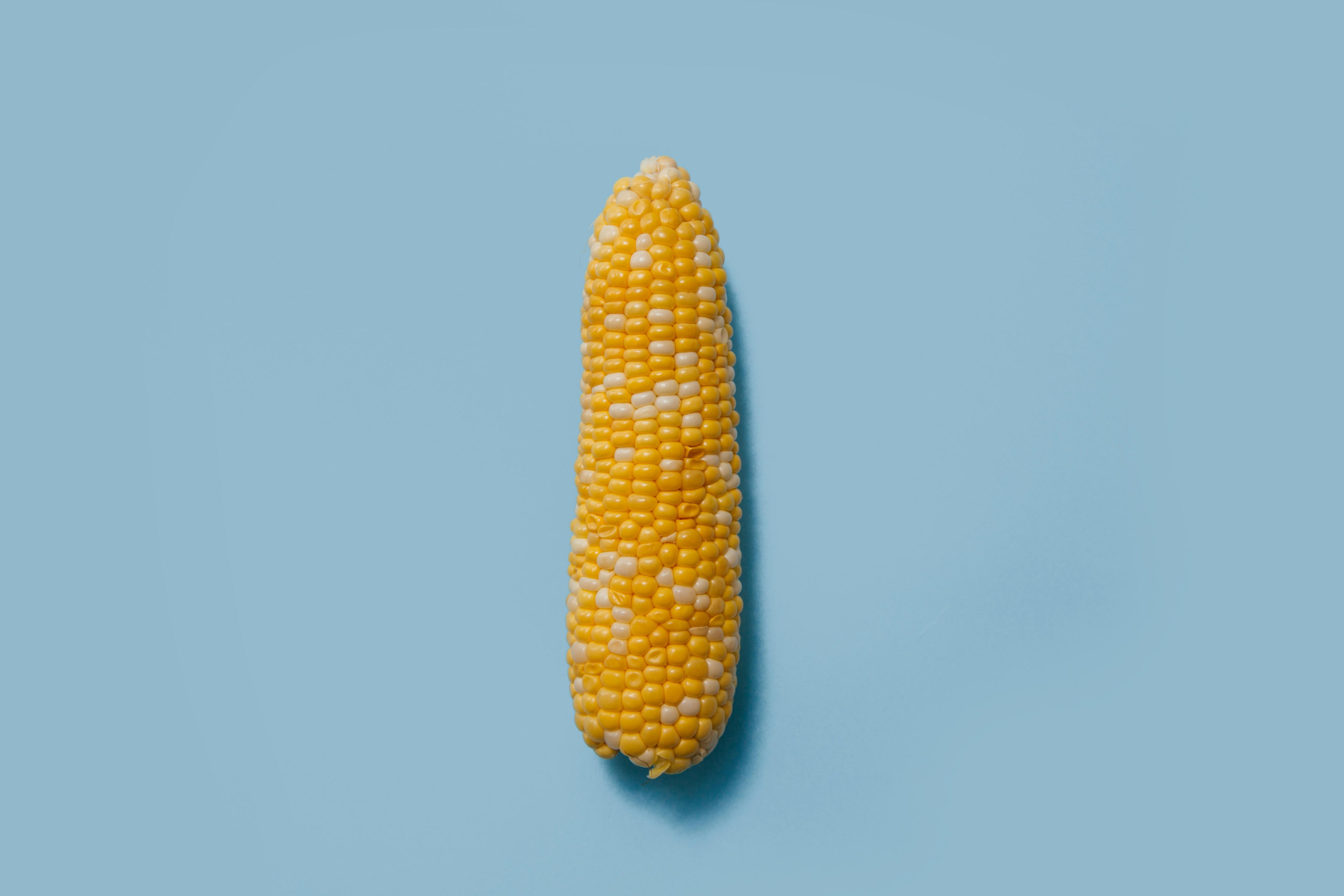 Optimizing Corn Processing: A Comprehensive Analysis of Techniques, Performance Metrics, and Key Decision Factors in Industrial Applications 3 Comparative Insights into Conventional and Advanced Methods of Corn Processing