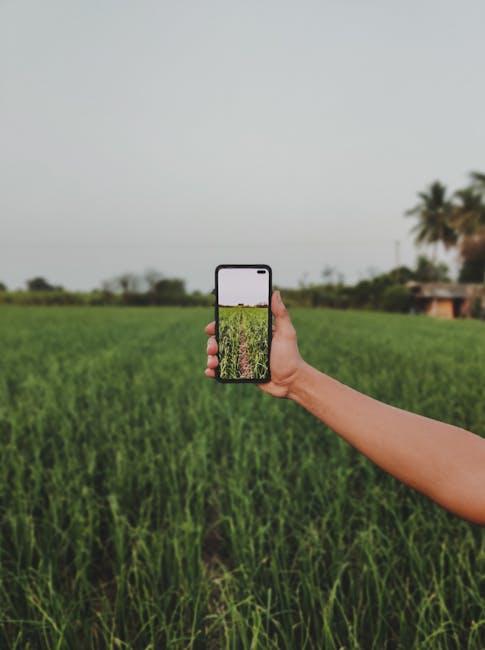 Beyond the Hype: Evaluating the Real Impact of smart Rice Plants on Global Food Equity