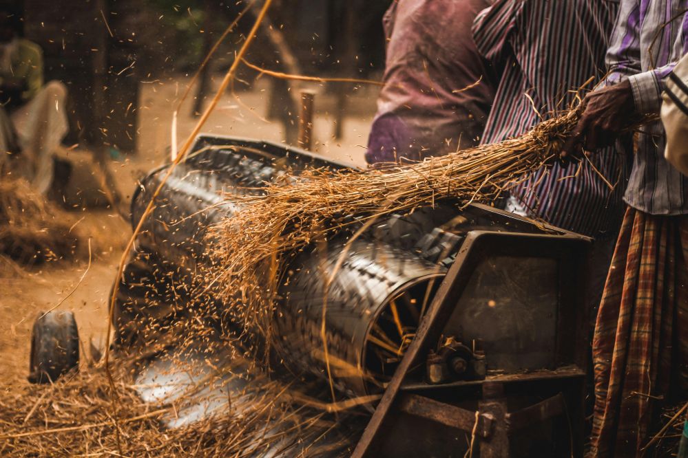 Comprehensive Analysis of Paddy Processing Machines: Precision Engineering, Performance Metrics, and Key Specifications for Optimal Grain Milling