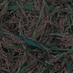 Maximize Your Yield: Choosing the Right Combined Rice Milling Machine for Efficiency and Quality