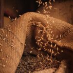 Understanding Small Rice Mills: Their Role in Agriculture, Economic Impact, and Operational Benefits