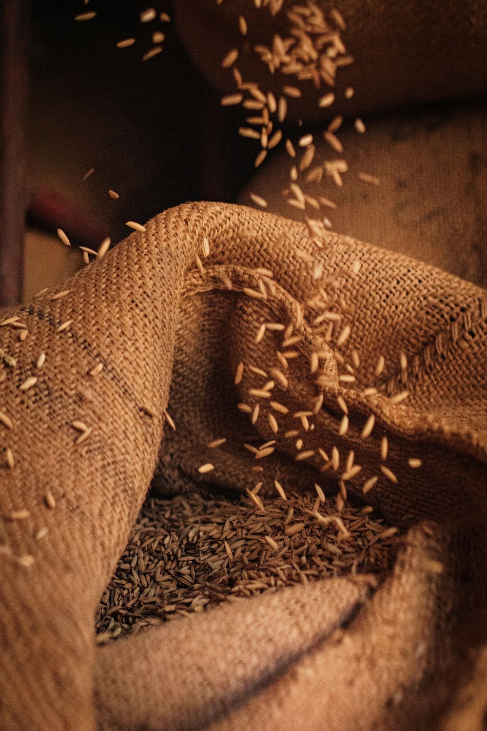 Understanding Small Rice Mills: Their Role in Agriculture, Economic Impact, and Operational Benefits
