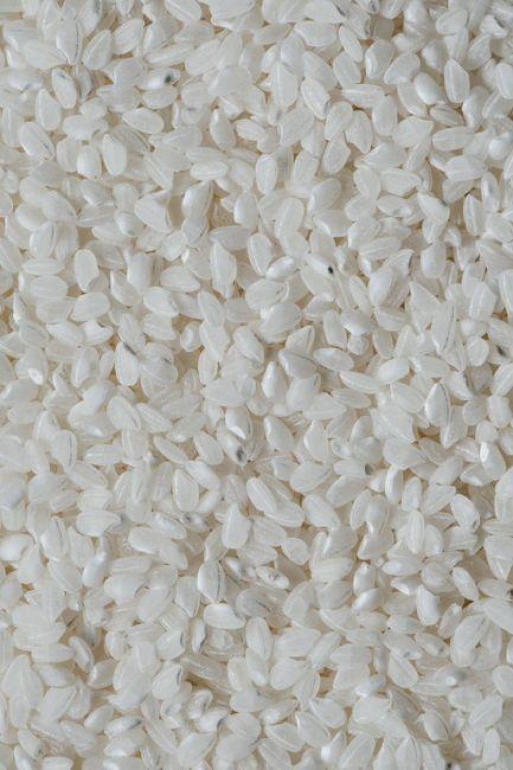 From Rough to Refined: The Journey of Jet Rice Polishers and the Transformative Power of Precision in Farming