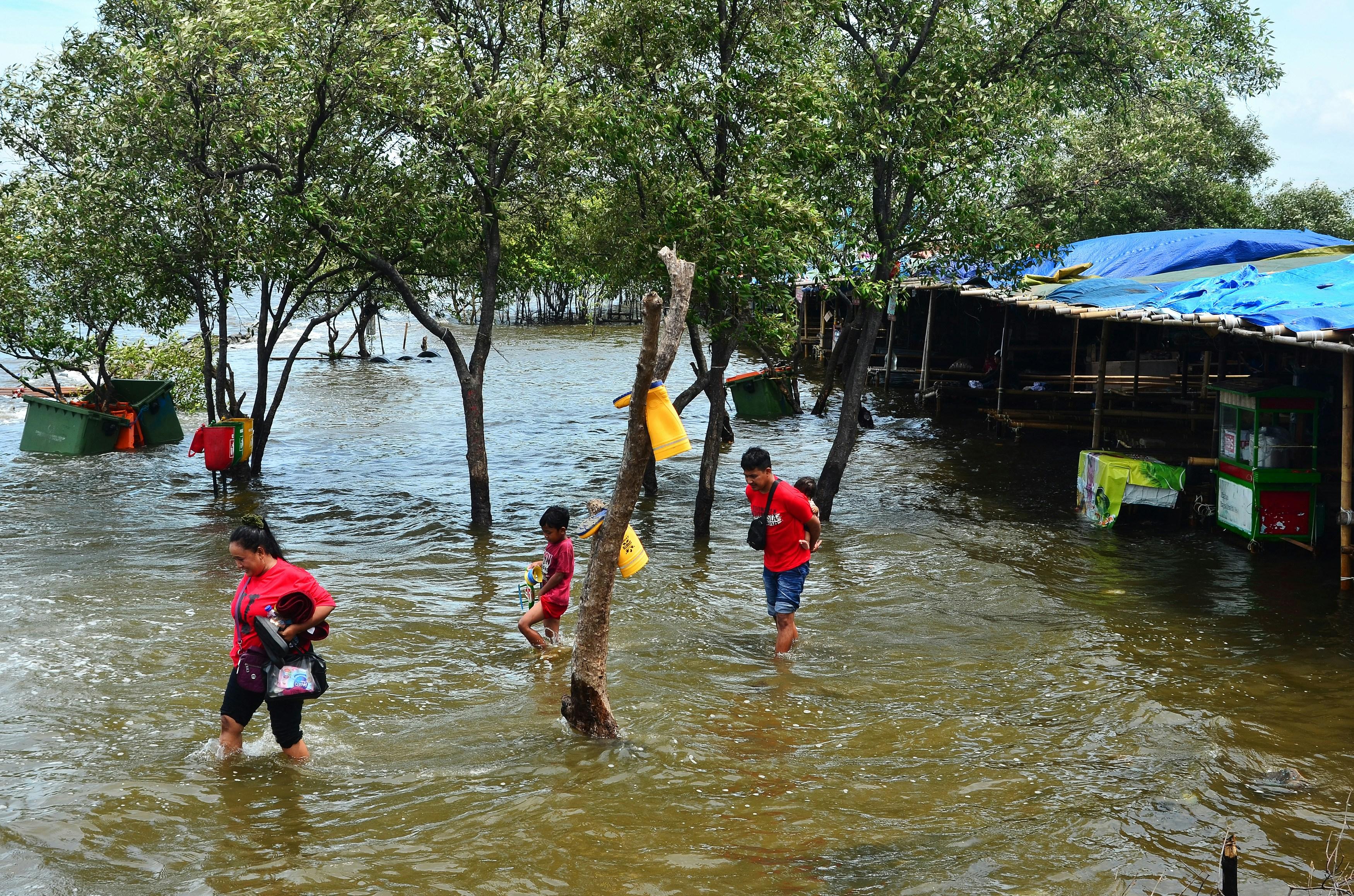 Rising from Adversity: transformative Stories of​ Local⁣ Rice Producers