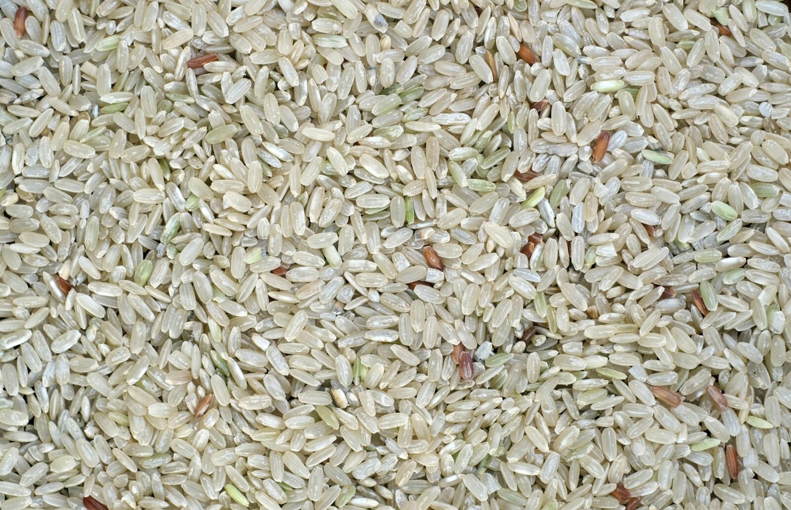Understanding Mini Rice Mills: Benefits, Features, and How They Revolutionize Small-Scale Rice Processing 1 Exploring Mini Rice Mills: key Features and Advantages for Small Farmers