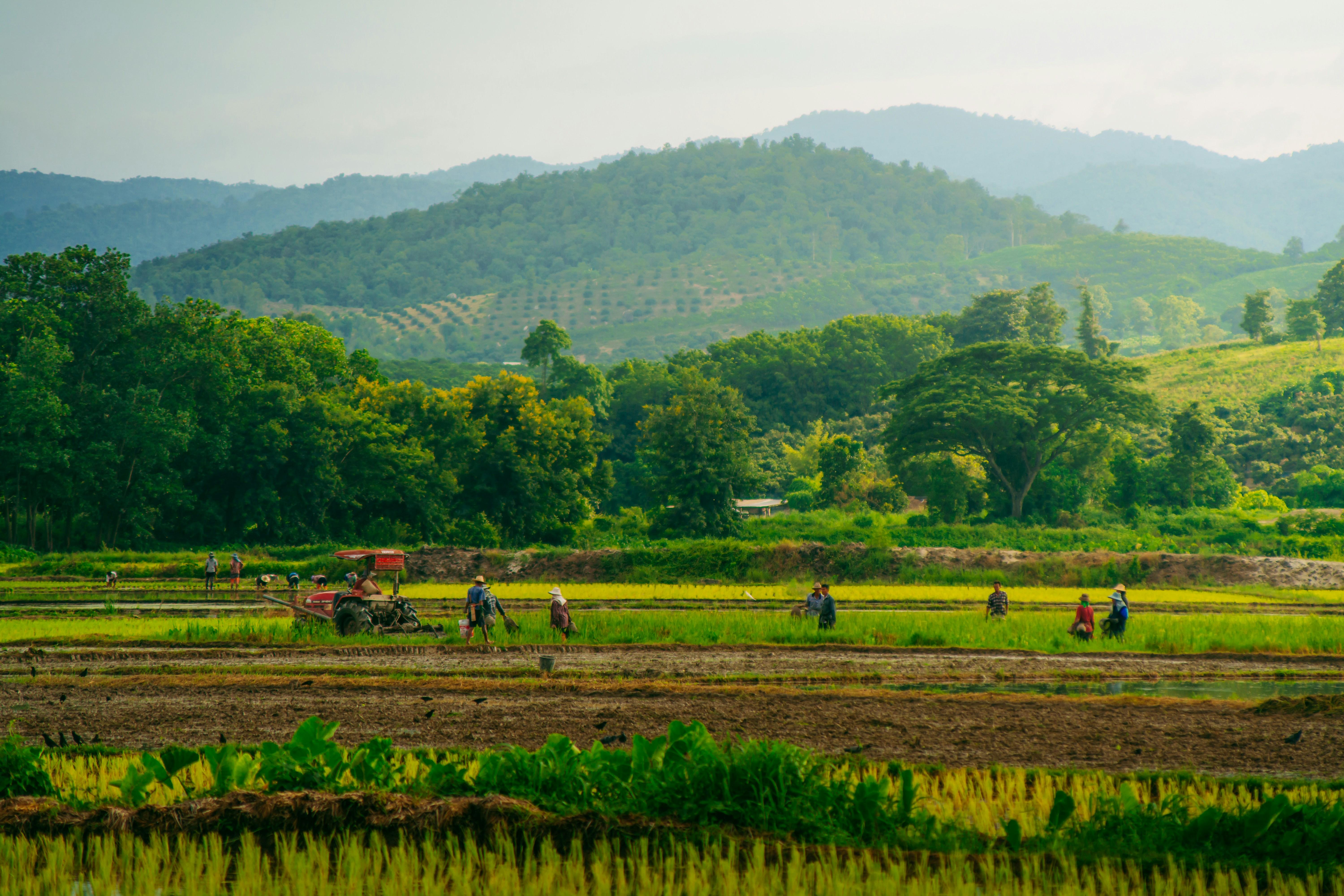 Turning the Tide: How Local Farmers Embrace New Technology
