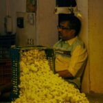 Optimizing Paddy Processing: A Technical Review of Methods, Performance Metrics, and Strategic Decision Factors